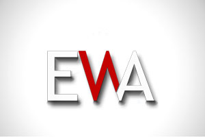 Owl Image