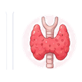 Thyroid and hormonal imbalances icon